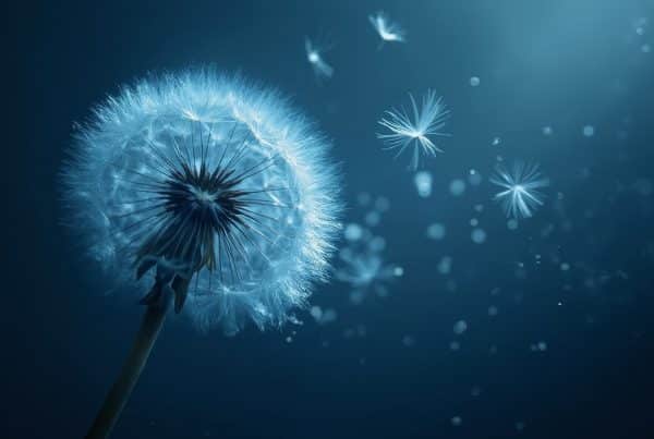 Dandelion Health Benefits